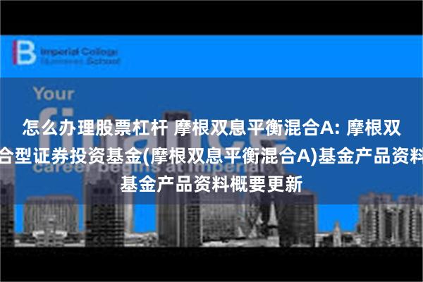 怎么办理股票杠杆 摩根双息平衡混合A: 摩根双息平衡混合型证券投资基金(摩根双息平衡混合A)基金产品资料概要更新