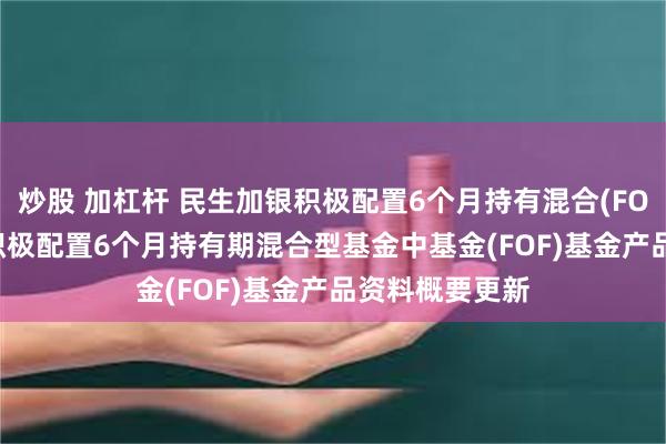 炒股 加杠杆 民生加银积极配置6个月持有混合(FOF): 民生加银积极配置6个月持有期混合型基金中基金(FOF)基金产品资料概要更新