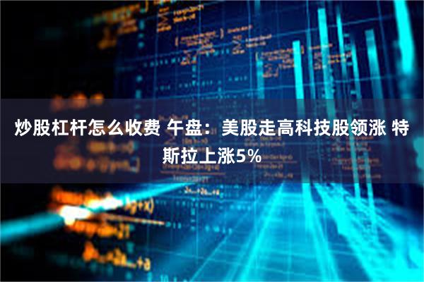 炒股杠杆怎么收费 午盘：美股走高科技股领涨 特斯拉上涨5%