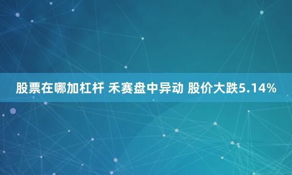 股票在哪加杠杆 禾赛盘中异动 股价大跌5.14%