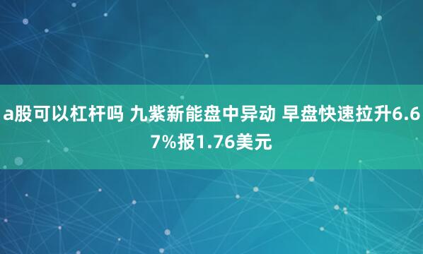 a股可以杠杆吗 九紫新能盘中异动 早盘快速拉升6.67%报1.76美元