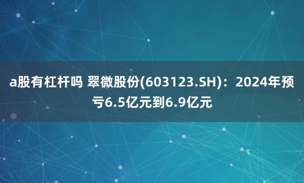 a股有杠杆吗 翠微股份(603123.SH)：2024年预亏6.5亿元到6.9亿元