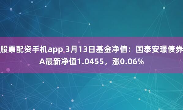 股票配资手机app 3月13日基金净值：国泰安璟债券A最新净值1.0455，涨0.06%