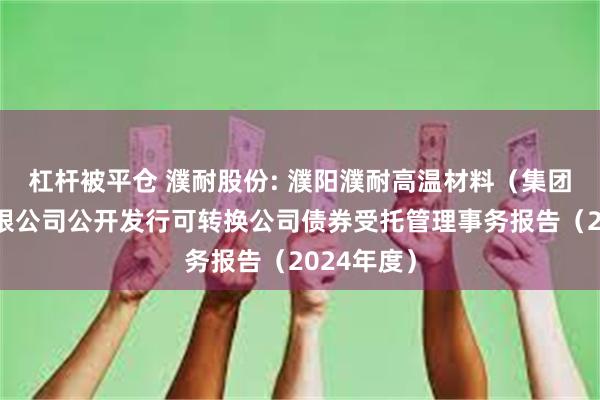 杠杆被平仓 濮耐股份: 濮阳濮耐高温材料（集团）股份有限公司公开发行可转换公司债券受托管理事务报告（2024年度）